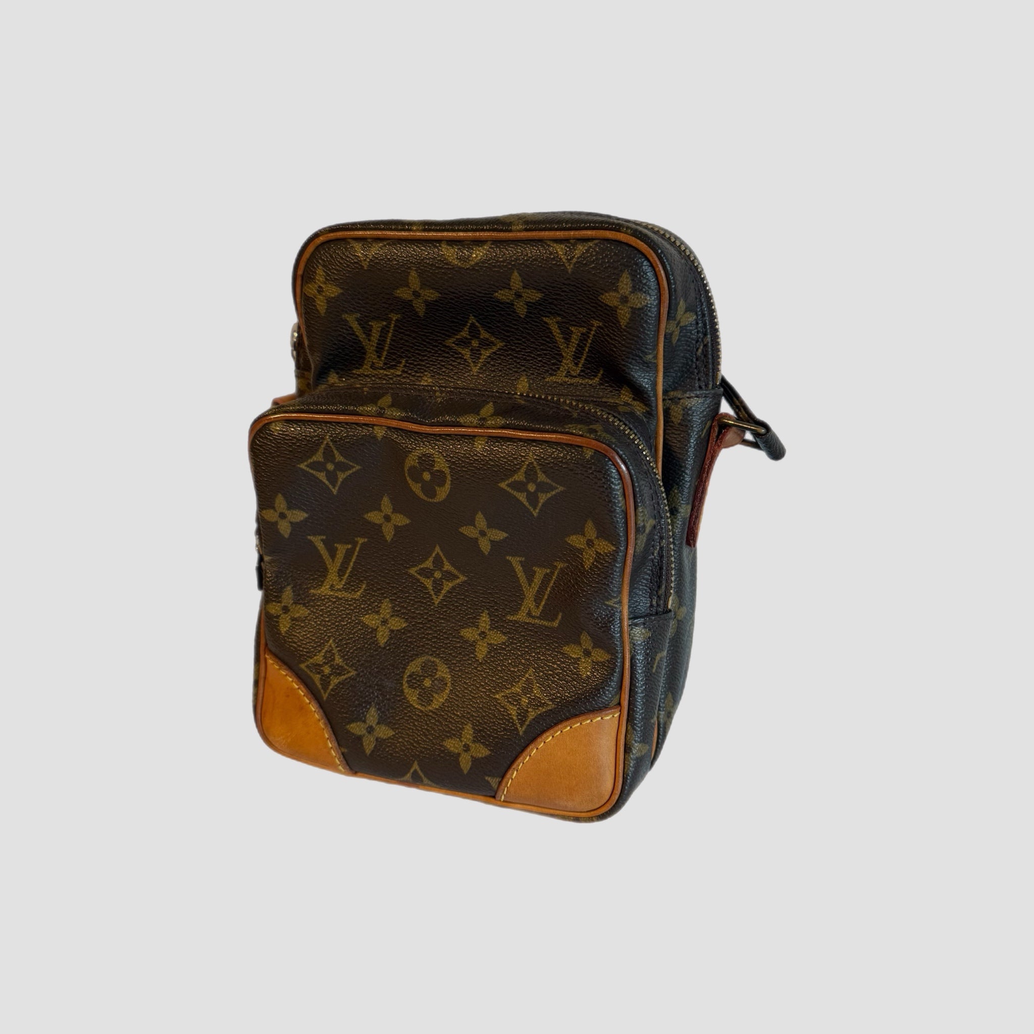 Louis Vuitton Amazon Side Bag Monogram