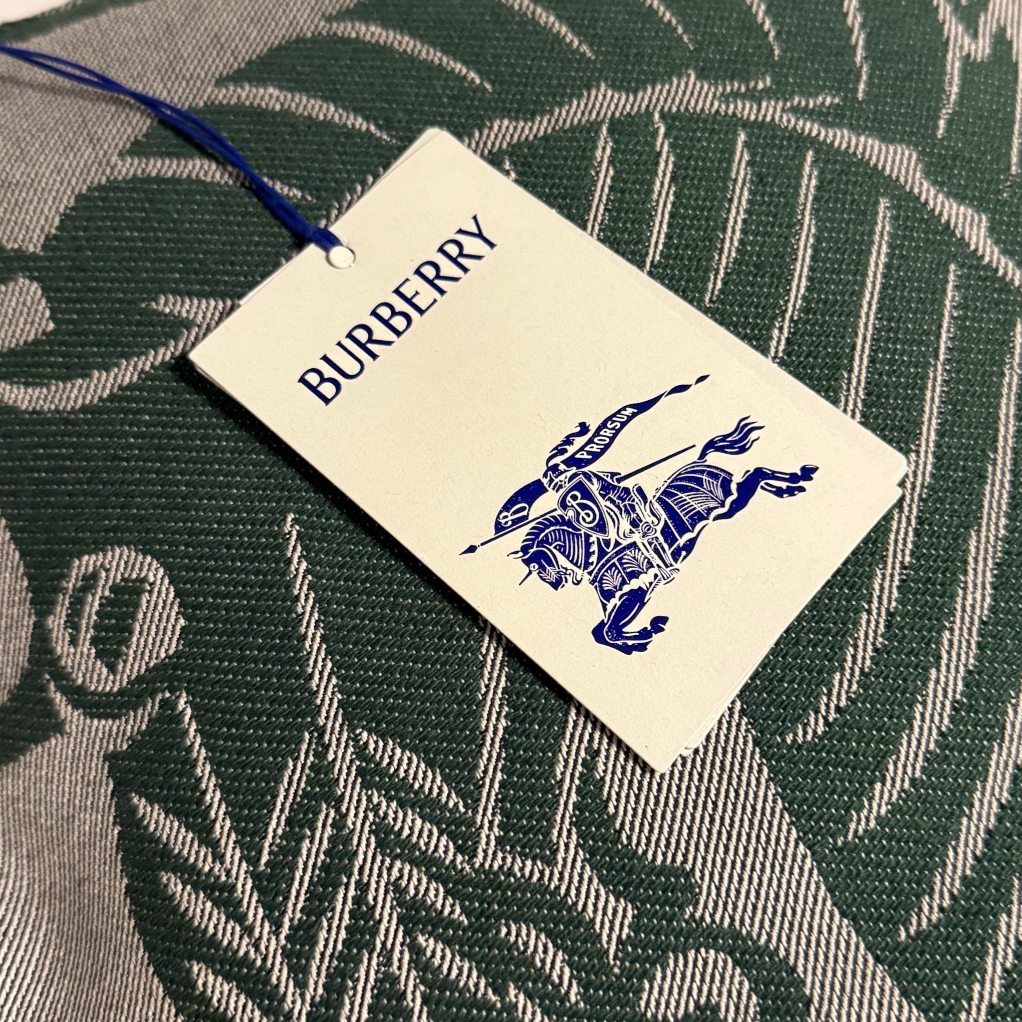 Burberry EKD Canvas Pouch Green