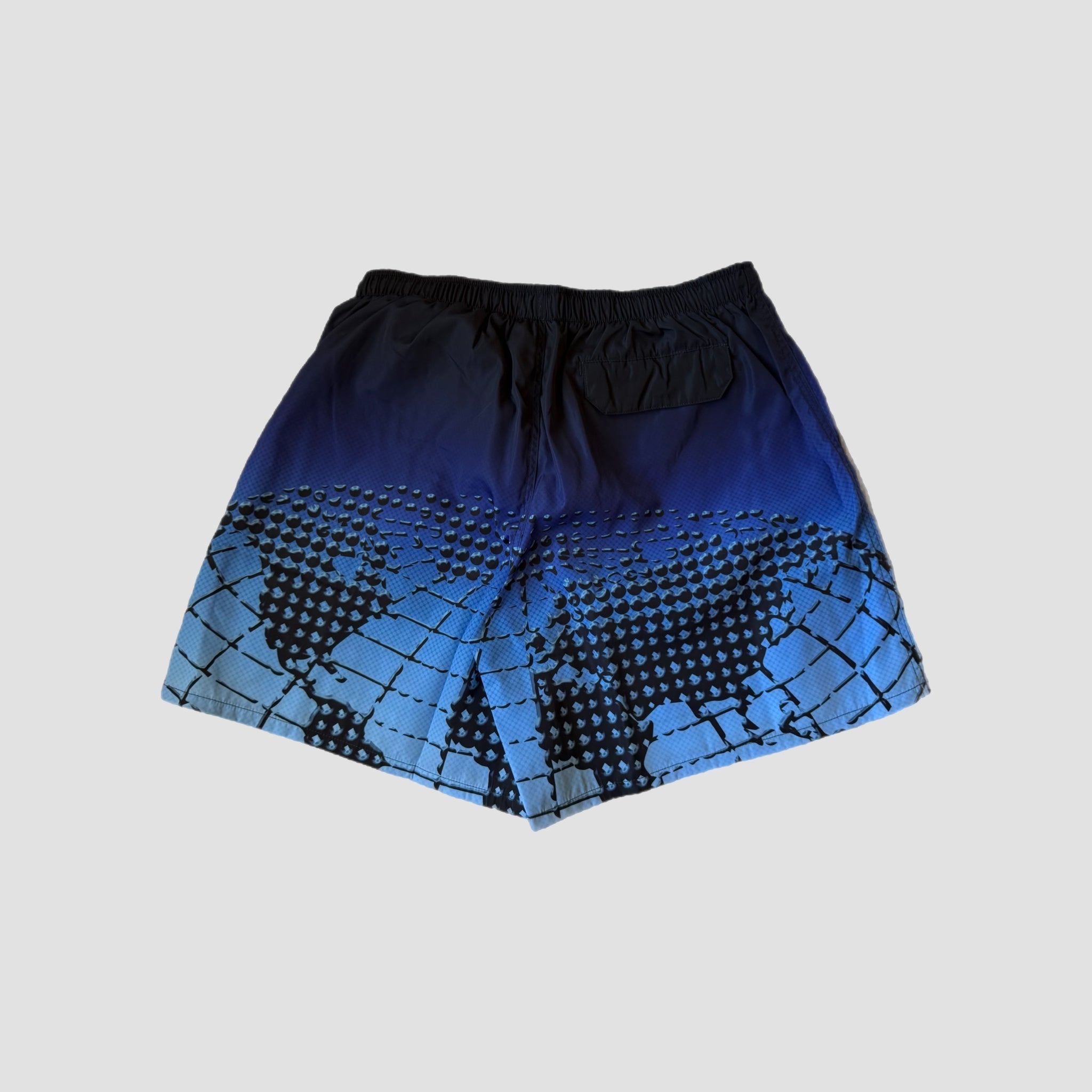Aime Leon Dore Chrome Logo Swimshorts