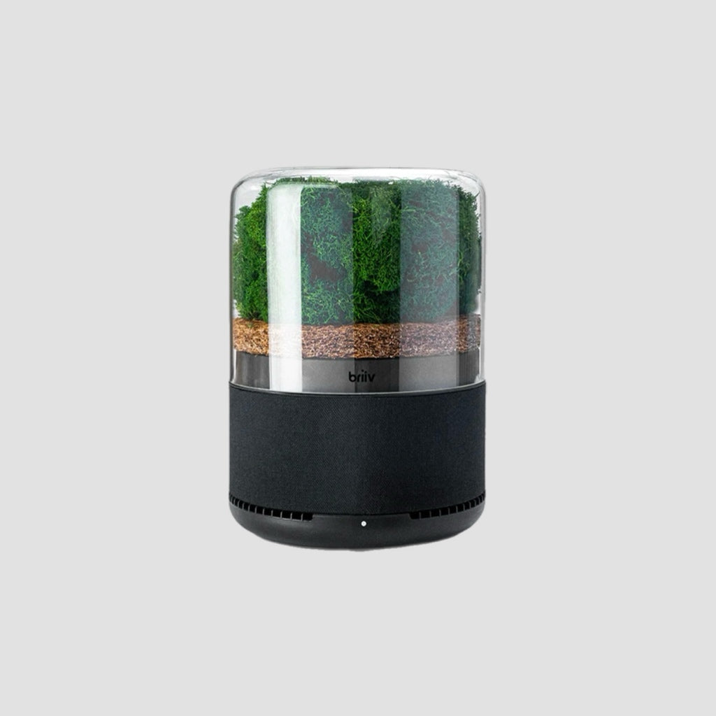 Briiv Air Filter